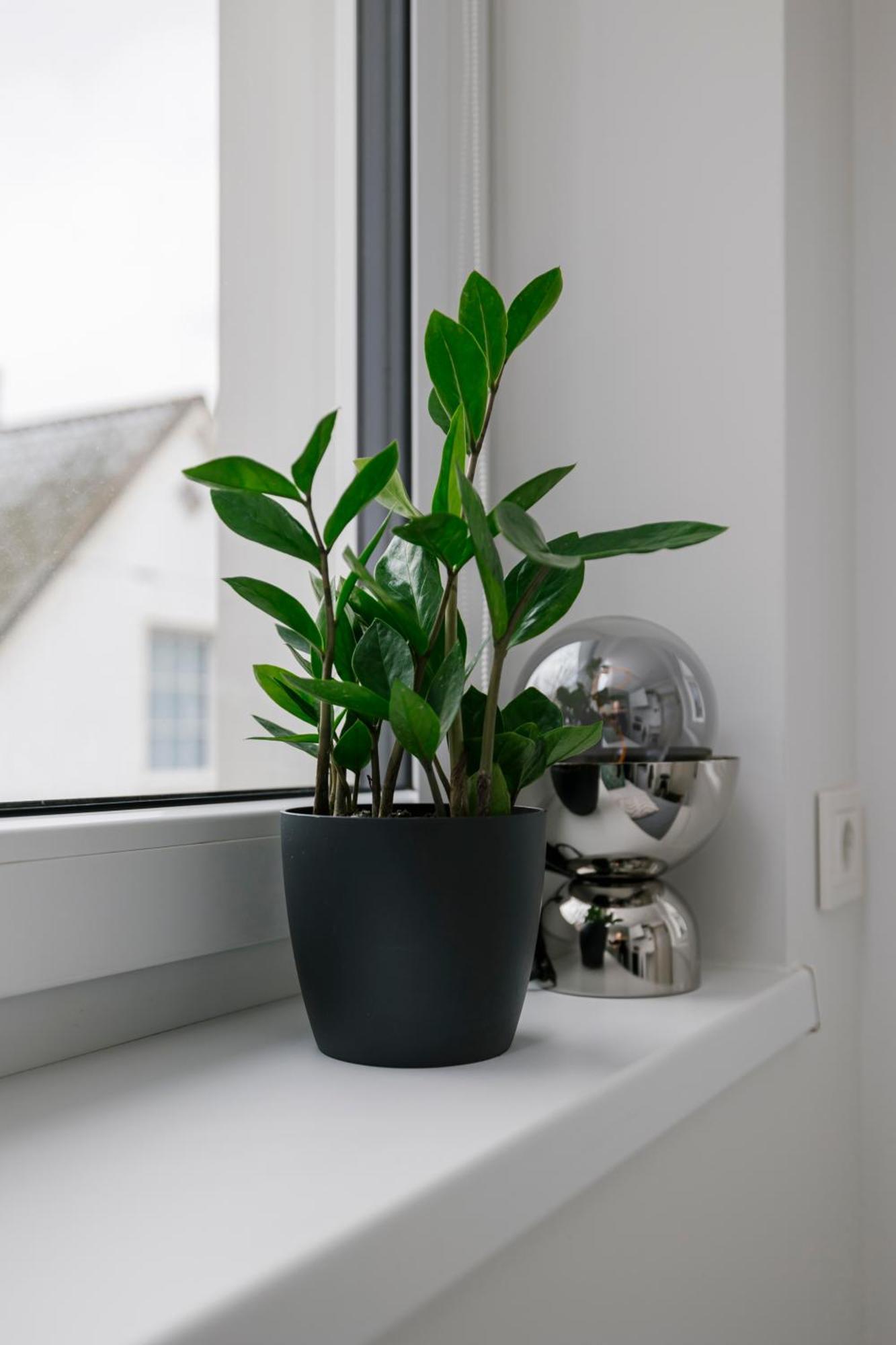Apartment For One - White タリン エクステリア 写真